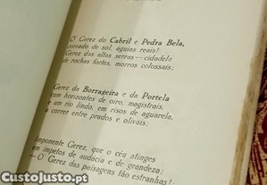 imagem_7