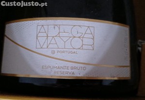 imagem_4
