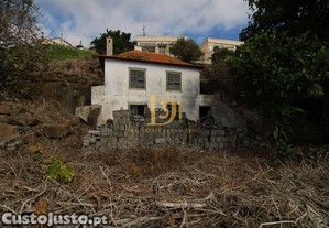 imagem_7