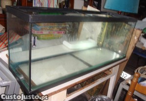 aquario peixes