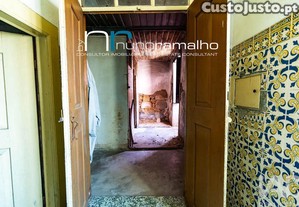 imagem_19