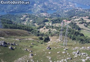 Terreno Rústico (Vistas Rio) Em Rechã Vieira Do...