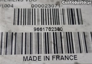 imagem_3
