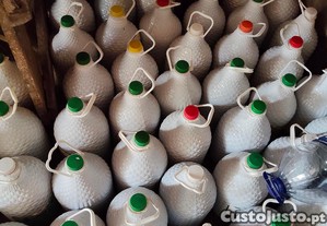 imagem_3