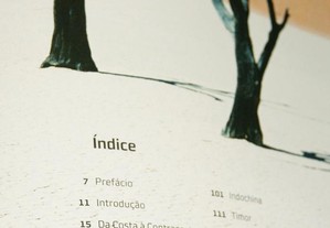 imagem_6