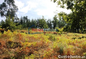 Terreno com 4.650 m e Duas Runas   Excelente em Zona Tranquila de Friande