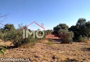 Terreno Rstico Em Esprito Santo, Nossa Senhora Da Graa E So Simo,Nisa, Portalegre, Nisa