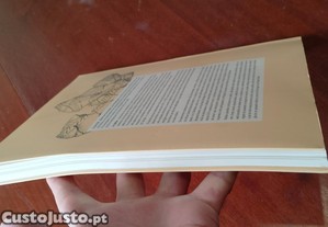 imagem_12