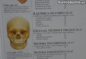 imagem_7