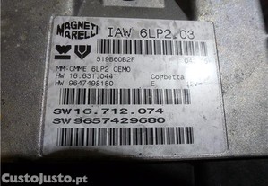 imagem_2