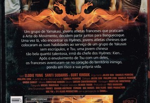 imagem_3