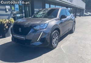 Peugeot 2008 1.5 BlueHDi Active P - 23