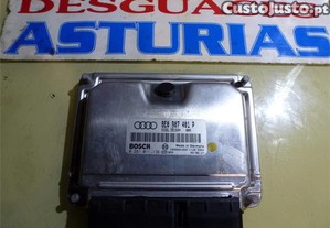 imagem_1