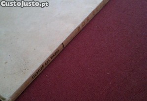 imagem_7