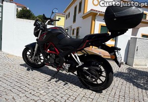 imagem_7