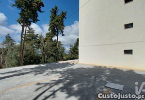 imagem_22