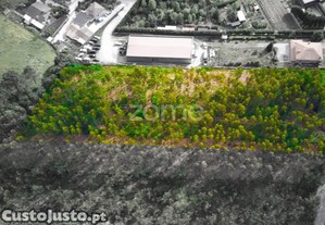 Terreno Rústico Com 7.900 M2 Em Monte Córdova -...