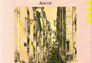 Livro - Peregrinações em Lisboa. Livro XIII