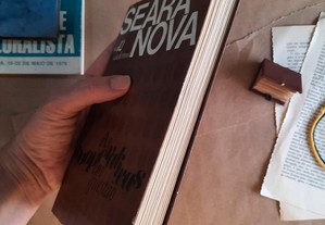 imagem_8
