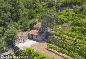 Quinta De Cortinhas | Vinha, Água E Potencial...
