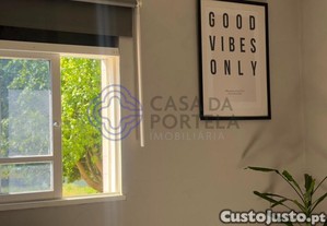imagem_37