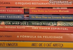 Livros vários diversos