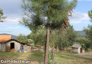 Terreno Misto Em Lugar De Moreira _ Melres |...