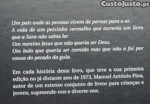 imagem_8