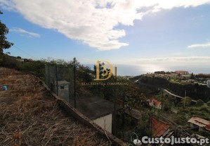 imagem_25