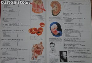 imagem_8