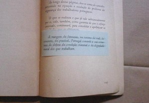 imagem_8