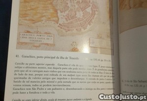 imagem_7