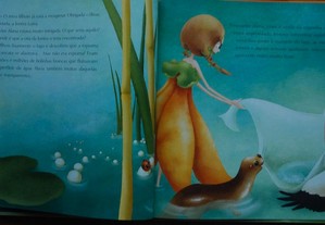 imagem_6