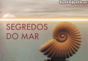 imagem_1