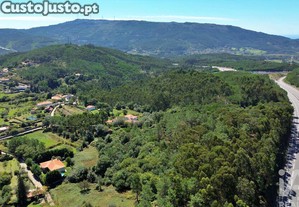 imagem_36