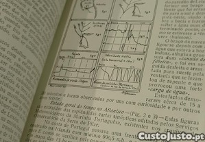 imagem_6