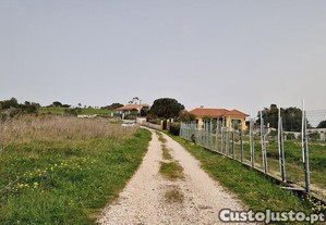 imagem_16