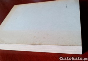 imagem_13