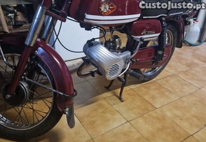 imagem_1