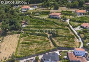 Quinta De Cortinhas | Vinha, Água E Potencial...