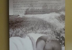 imagem_3