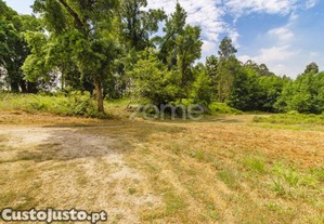 Terreno De Construção Com 1,5 Ha, Com Projeto,...