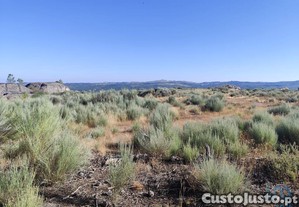 Terreno em Sernancelhe e Sarzeda de 51606,00 m