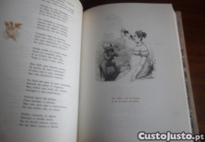 imagem_8