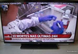imagem_7