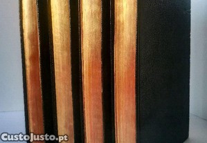imagem_4