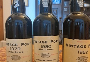 1980 Borges Vintage Porto (Vinho do Porto)