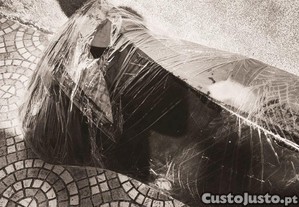 imagem_8