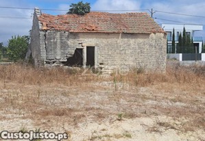 imagem_1