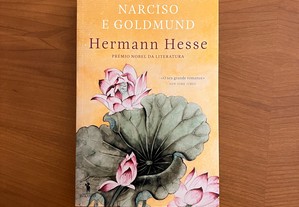 Hermann Hesse - Narciso e Goldmund (envio grátis)
